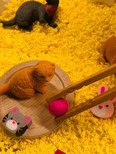 Load image into Gallery viewer, Pet Shop Sensory Kit
